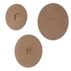Sand Dollar Wall Plaques